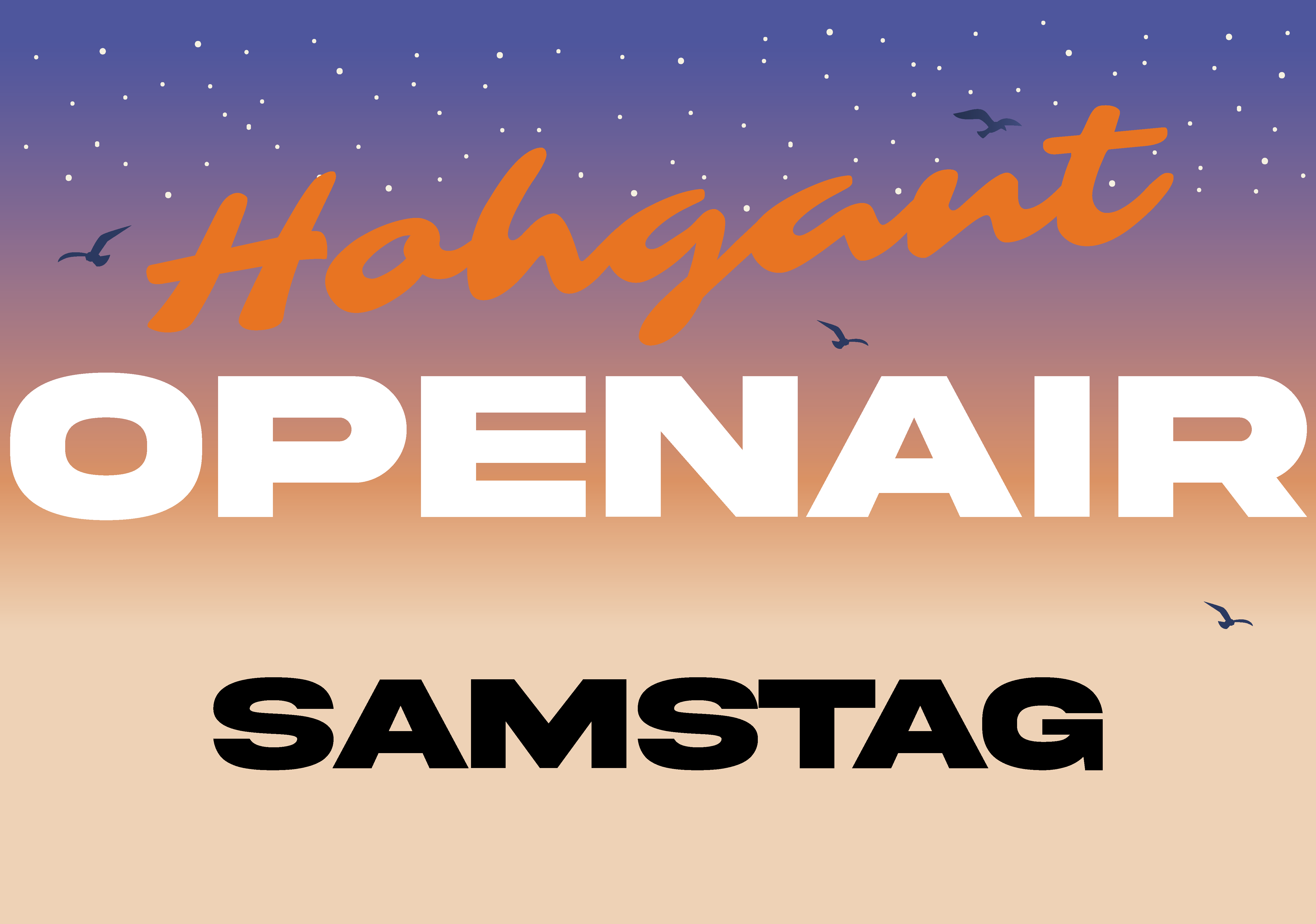 Event-Image for 'Hohgant Openair'